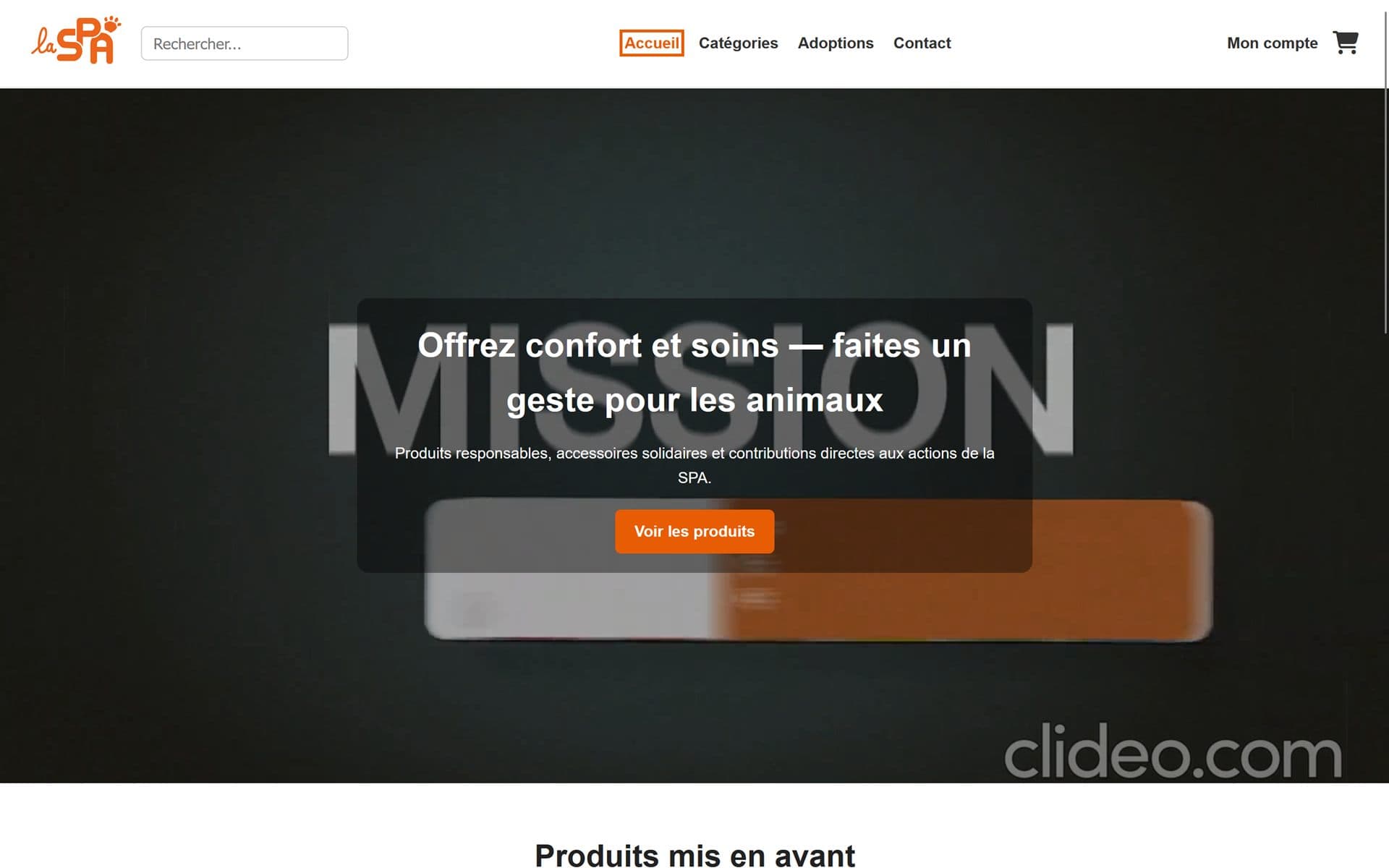 Aperçu du projet SPA : boutique en ligne